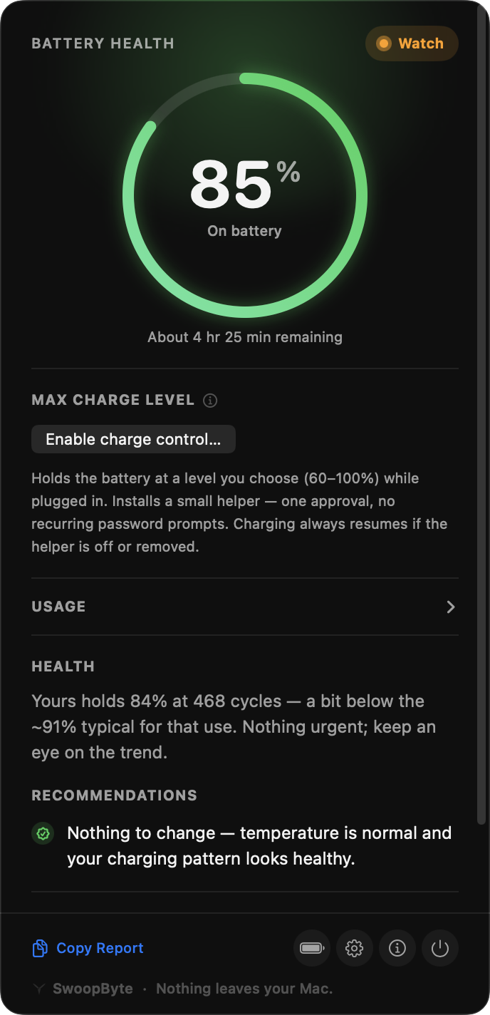 Real screenshot of the SwoopByte Battery panel: an honest Watch verdict and a plain-language health read